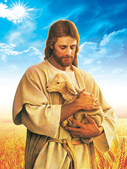 Chúa chăn chiên